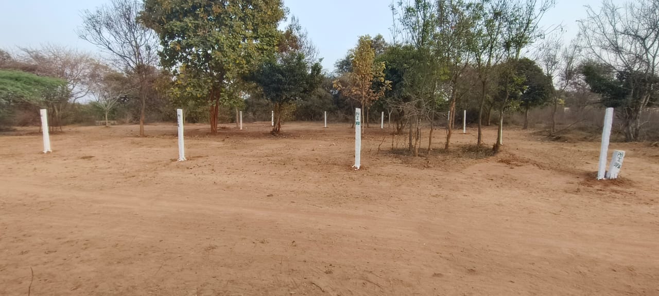 Luxury Lifestyle Living